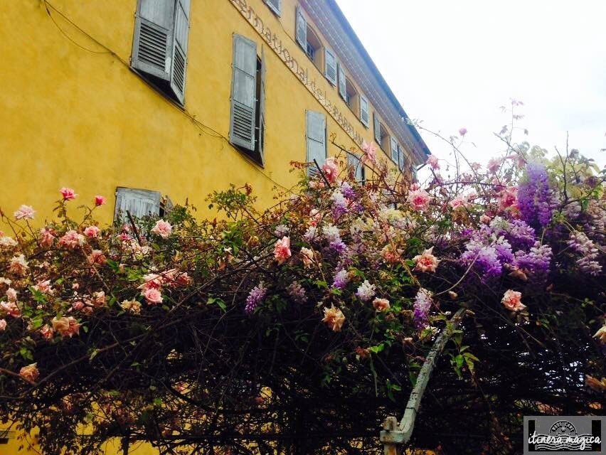 Sous les glycines, le dix-huitième : un jour à Grasse