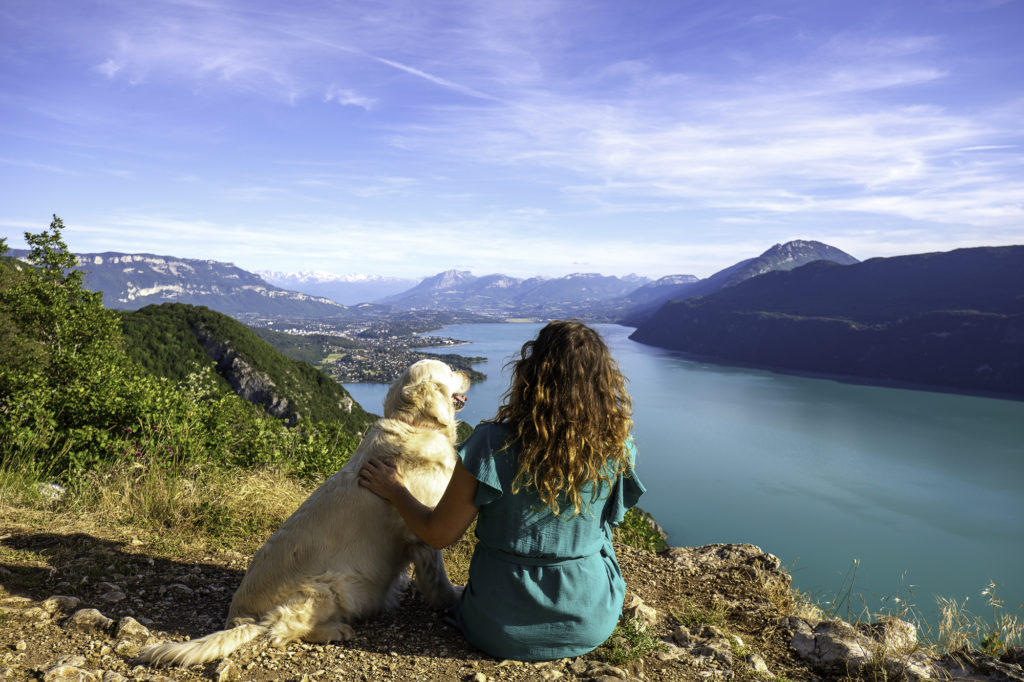 Le lac du Bourget avec mon chien, idylle savoyarde