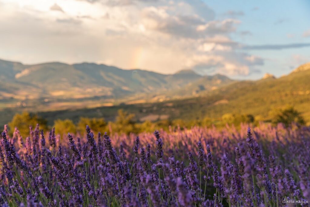 Les Baronnies provençales : randonnées, villages et spécialités de la Drôme