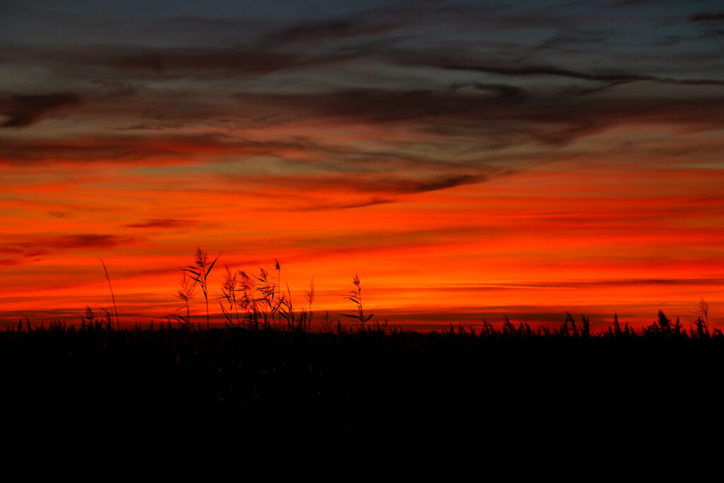 Le Mas Cacharel, im Herzen der Camargue