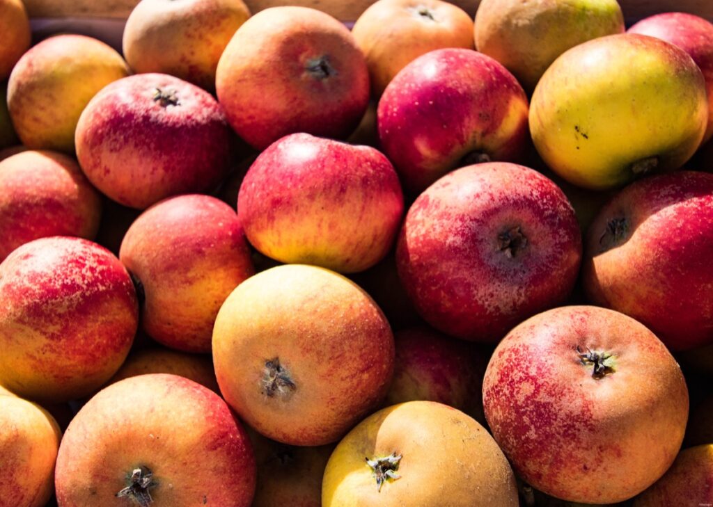 Mes bonnes adresses à Caen : pommes et compagnie