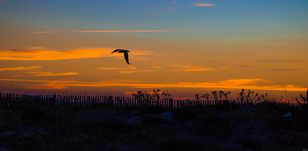 La presqu&rsquo;île de Giens, un balcon sur l&rsquo;azur