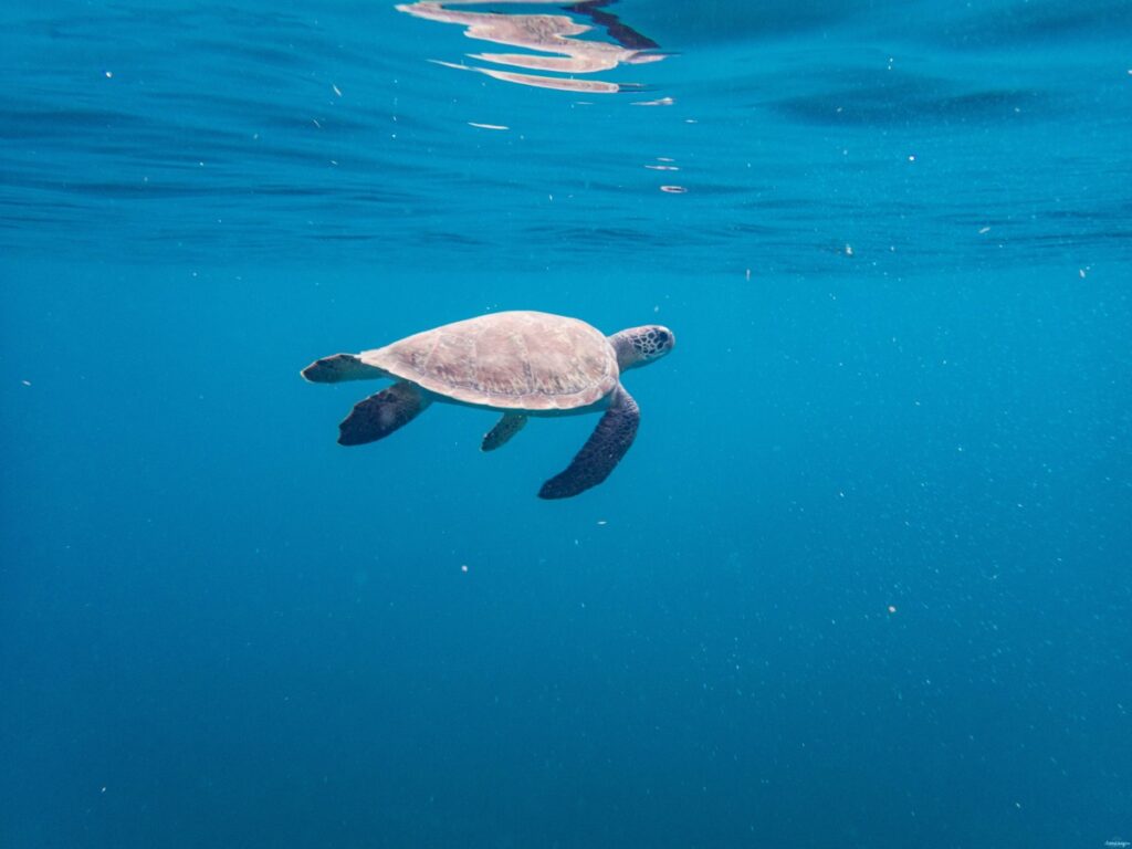 Une semaine en Martinique : mes incontournables