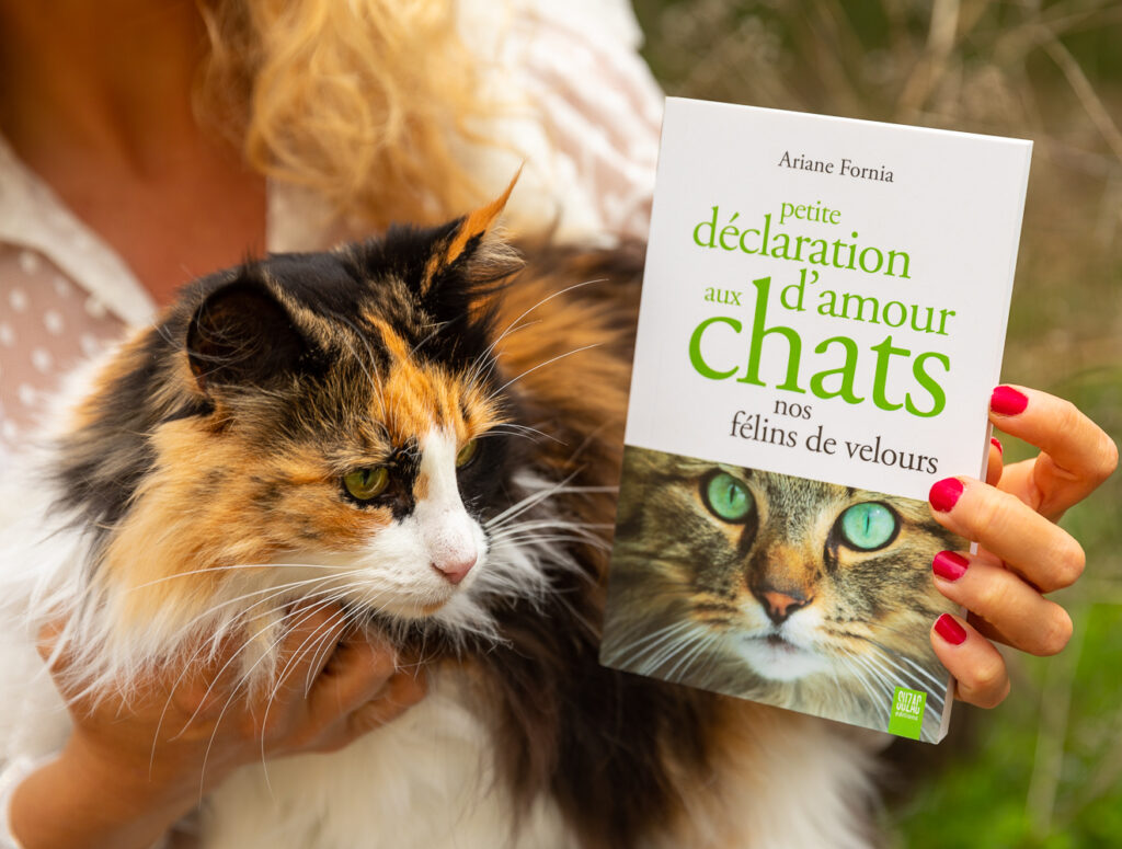 Mon nouveau livre : Petite déclaration d’amour aux chats