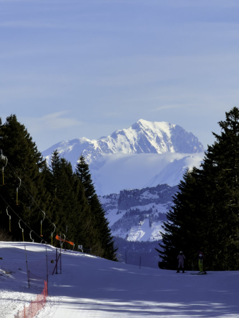 Que voir et que faire à Savoie Grand Revard en hiver ? Randonnée, chiens de traîneau, ski joering en pleine nature dans les montagnes de Chambéry