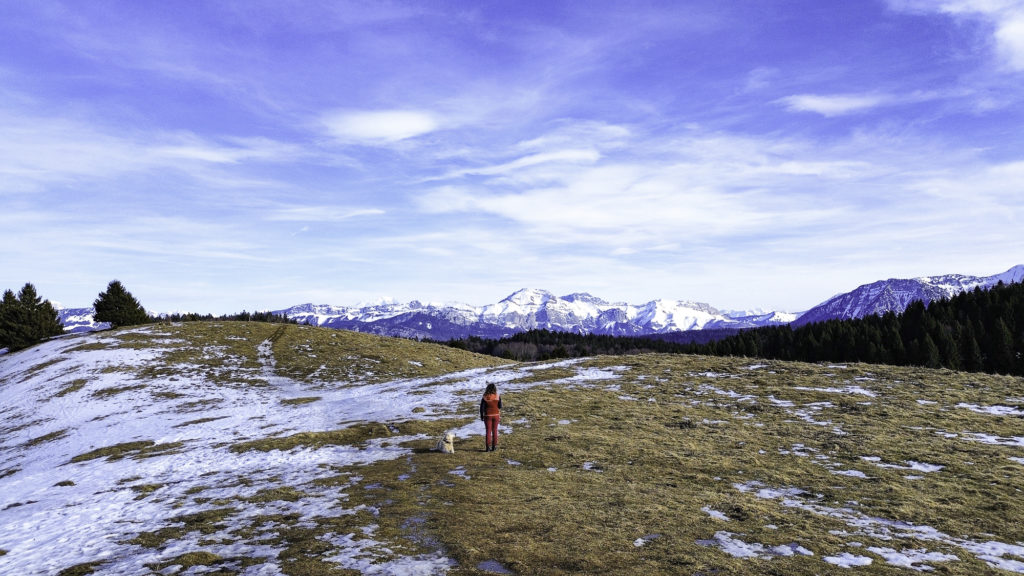 randonner avec mon chien à savoie grand revard dans les montagnes de chambéry