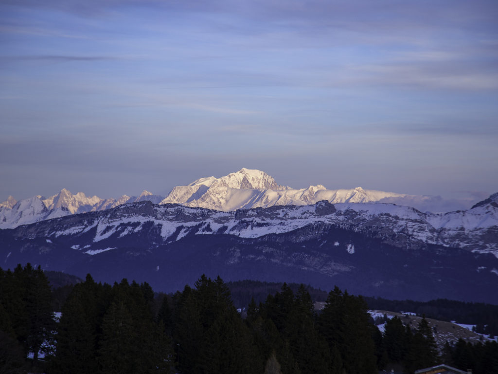 Que voir et que faire à Savoie Grand Revard en hiver ? Randonnée, chiens de traîneau, ski joering en pleine nature dans les montagnes de Chambéry