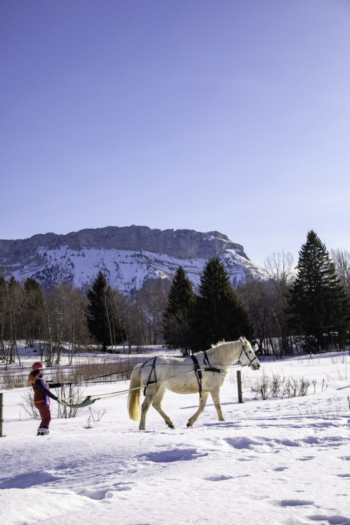 ski joering chevaux savoie grand revard chambery montagnes