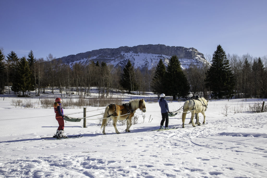 Que voir et que faire à Savoie Grand Revard en hiver ? Randonnée, chiens de traîneau, ski joering en pleine nature dans les montagnes de Chambéry