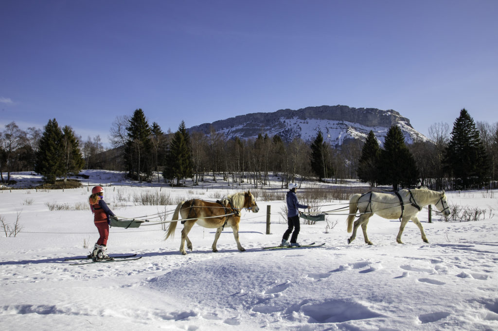 ski joering chevaux savoie grand revard chambery montagnes