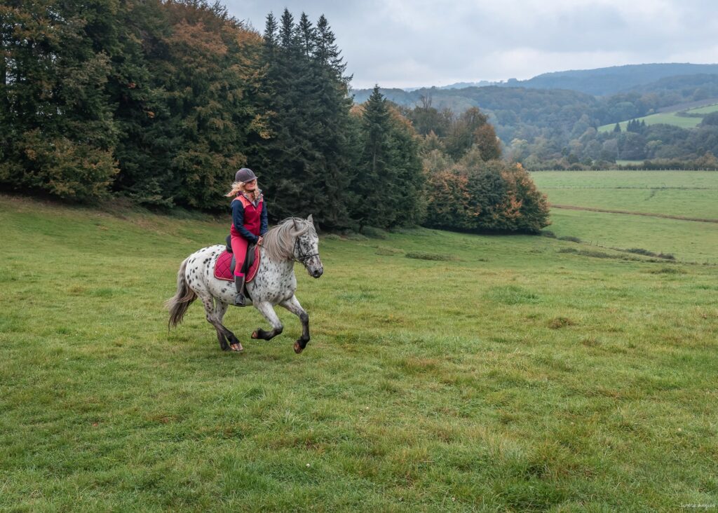 La route des Chalots dans les Vosges, itinéraire gourmand à cheval et à vélo