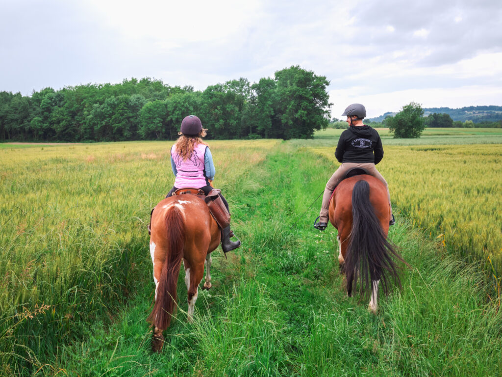Saint-Marcellin Vercors Isère, pays des chevaux