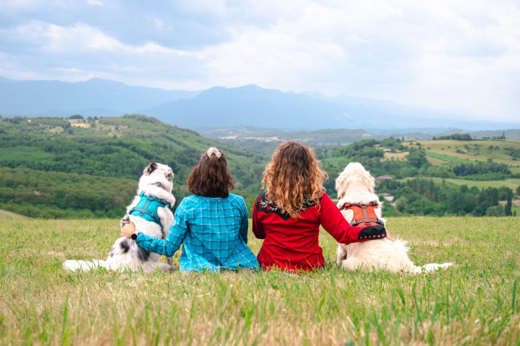 Randonner avec son chien : matériel et idées de balades autour de Grenoble