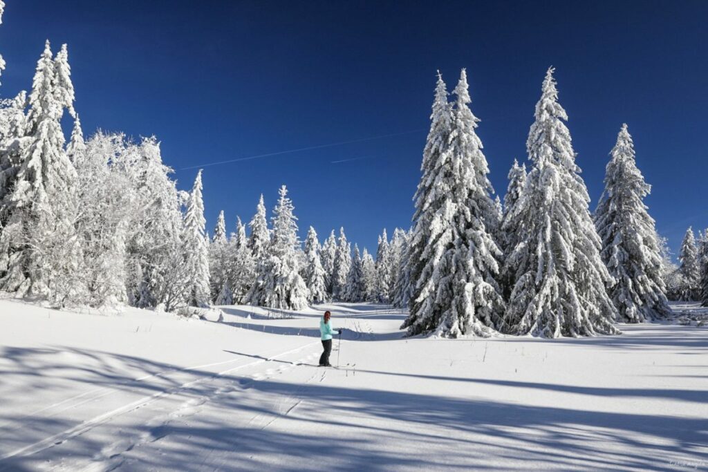 Le Vercors en hiver : la grande aventure