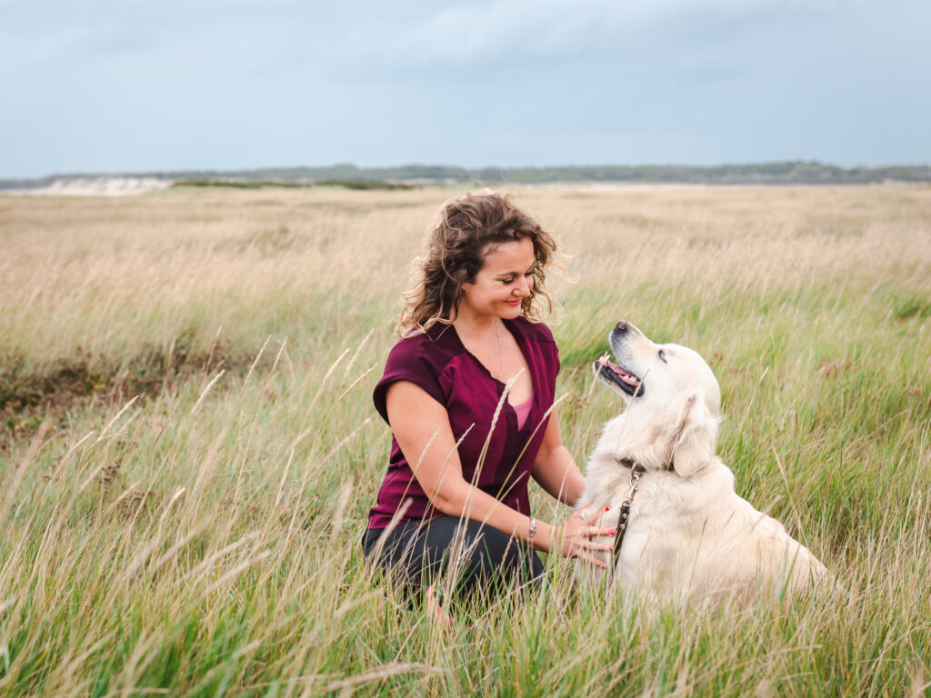 Visiter la Somme avec son chien