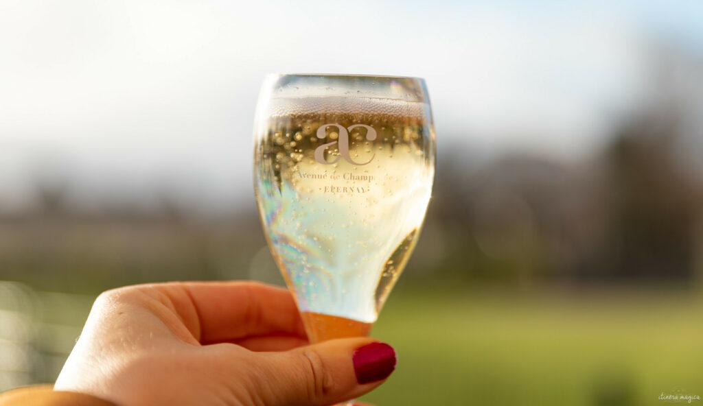 Visiter la Champagne en 10 coups de cœur